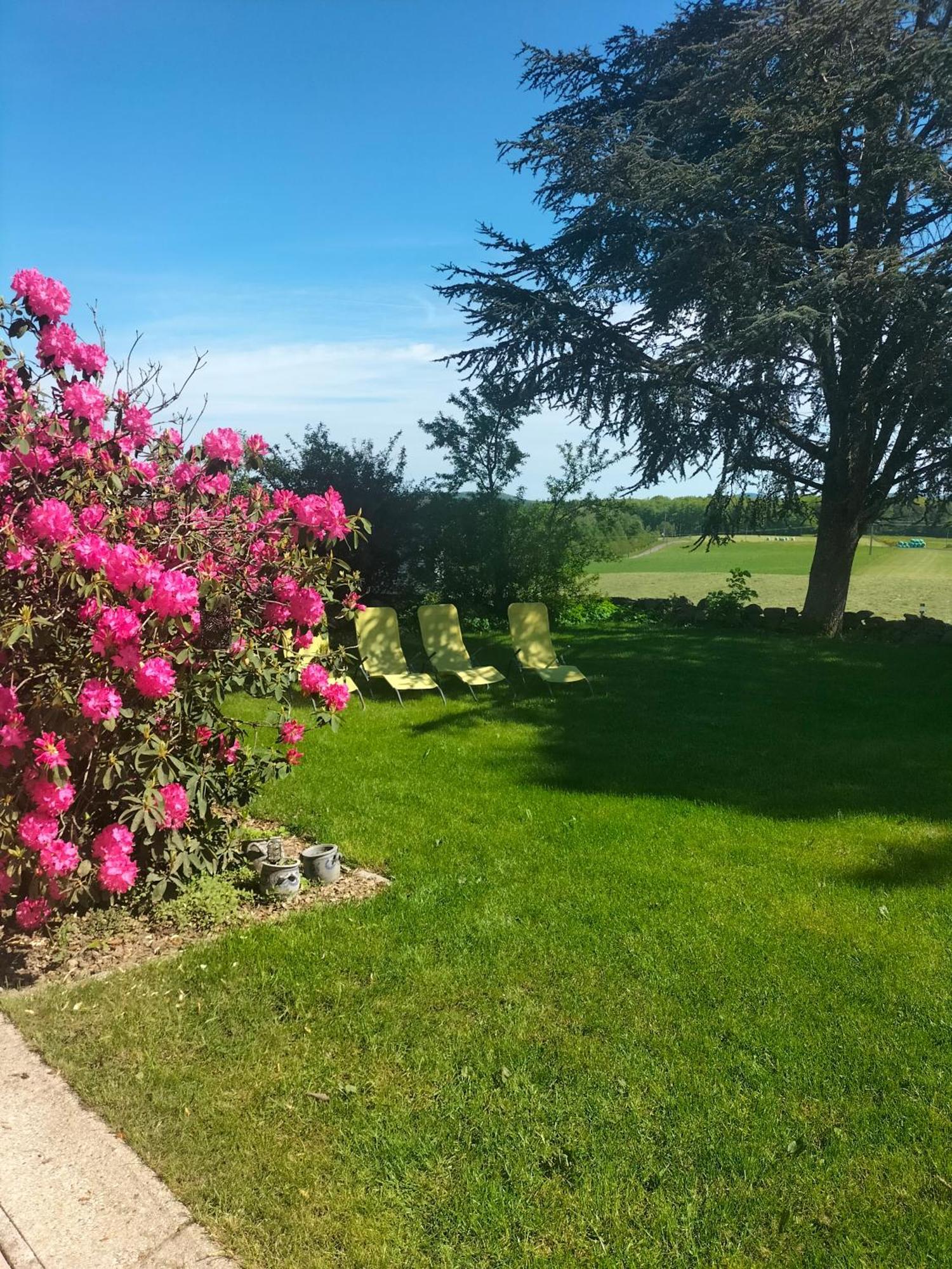 Gite Belle Fleur 6 Personnes- Vosges Saint-Nabord Exterior photo